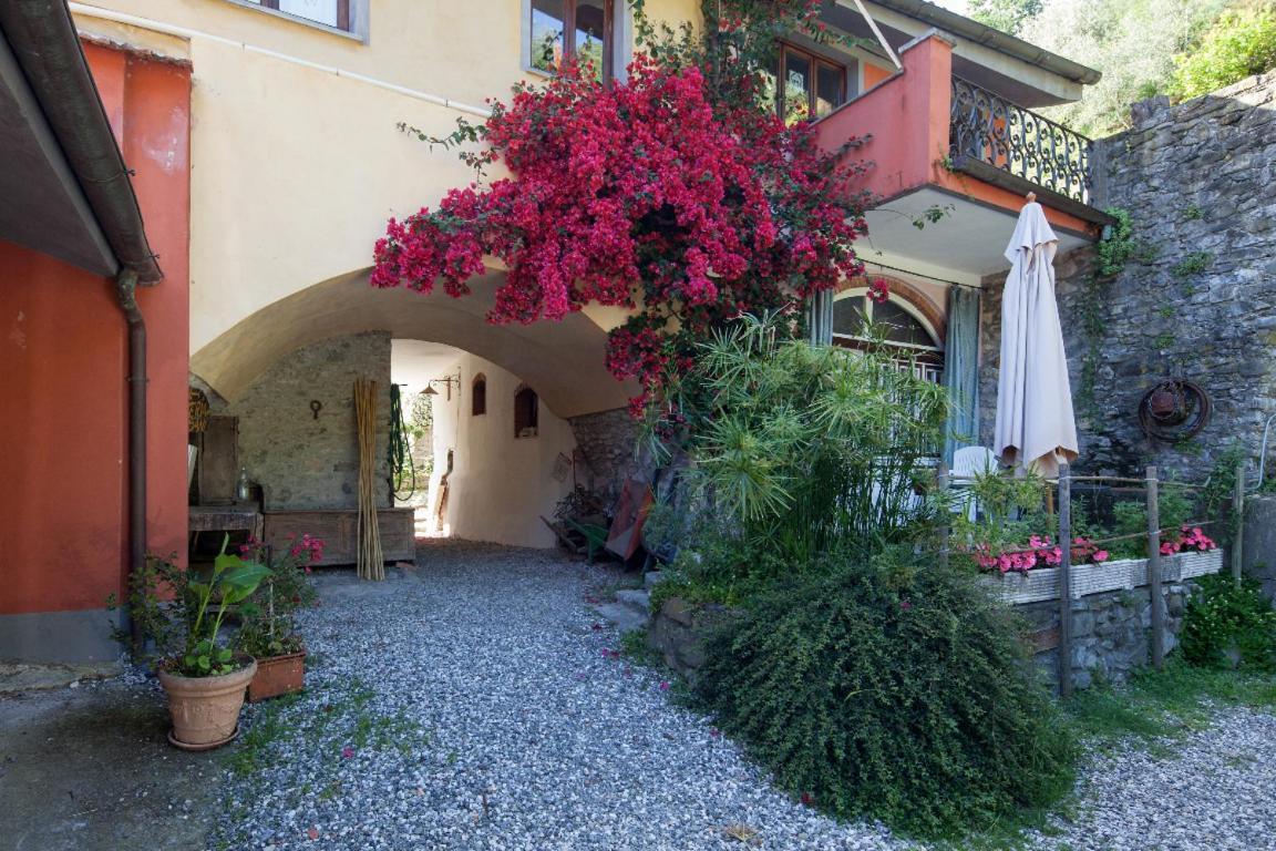 Il Borgo Della Colomba Villa Fosdinovo Kültér fotó