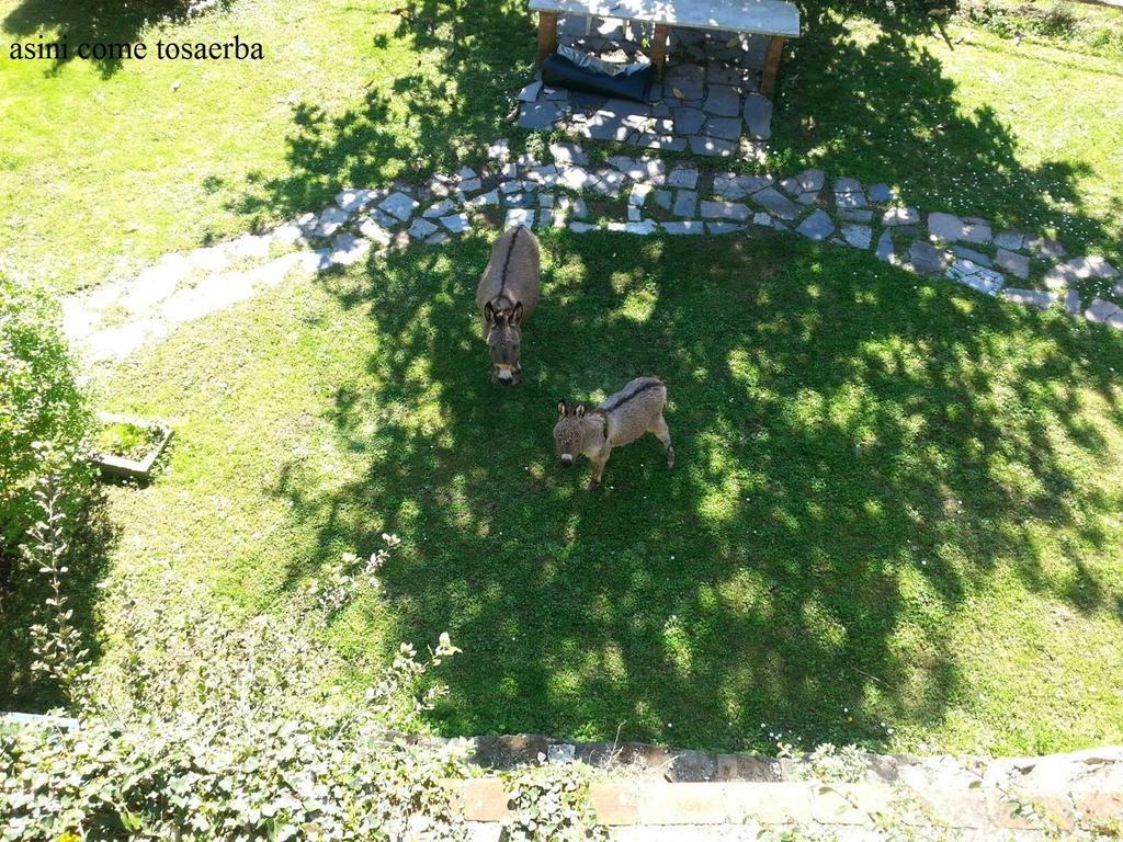 Il Borgo Della Colomba Villa Fosdinovo Kültér fotó